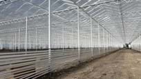 Greenhouse for growing tomatoes in Hungary