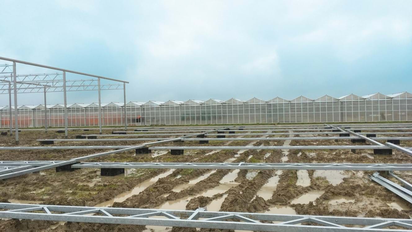 Greenhouse for growing young plants in Germany