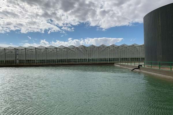 Greenhouse for growing tomatoes in Azerbaijan