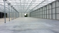 Greenhouse for growing roses in Holland