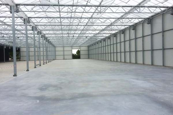 Greenhouse for growing roses in Holland