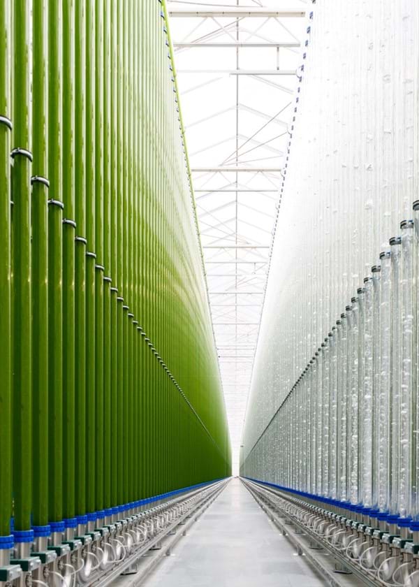 Greenhouse for growing algae in Austria