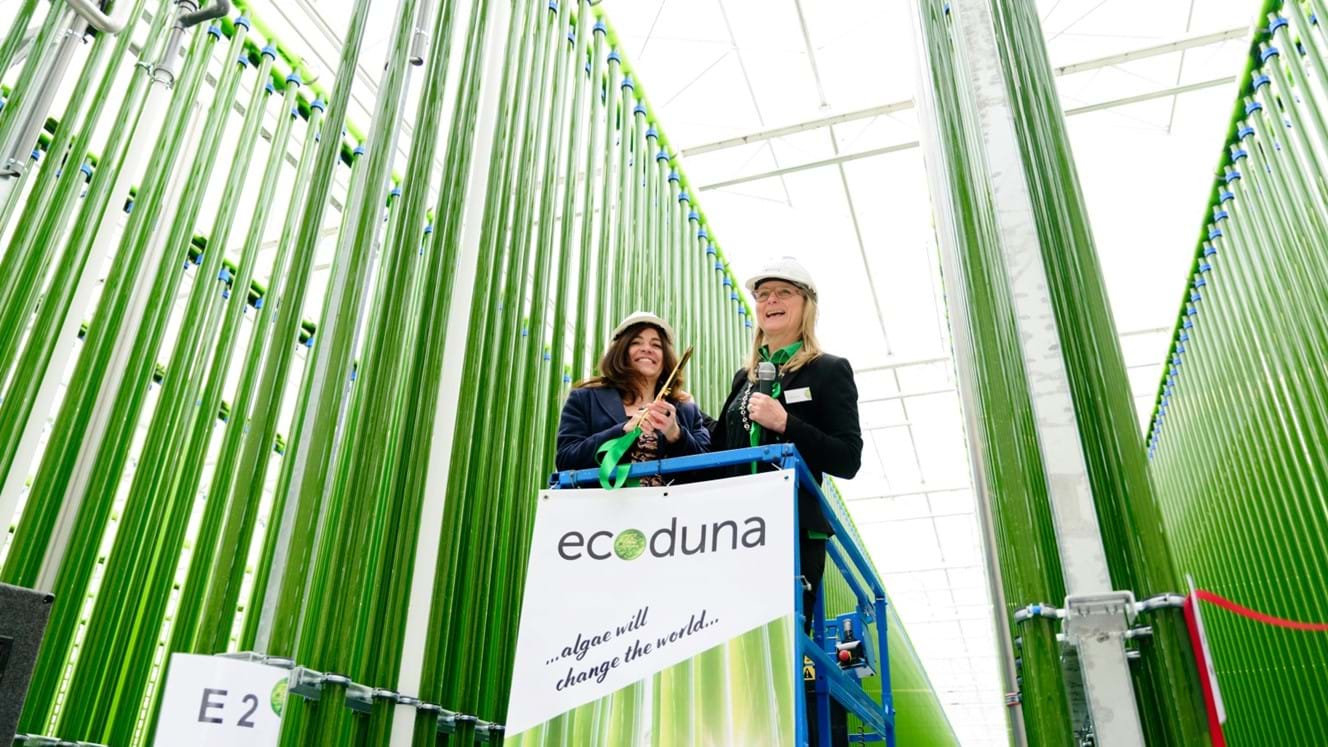 Greenhouse for growing algae in Austria