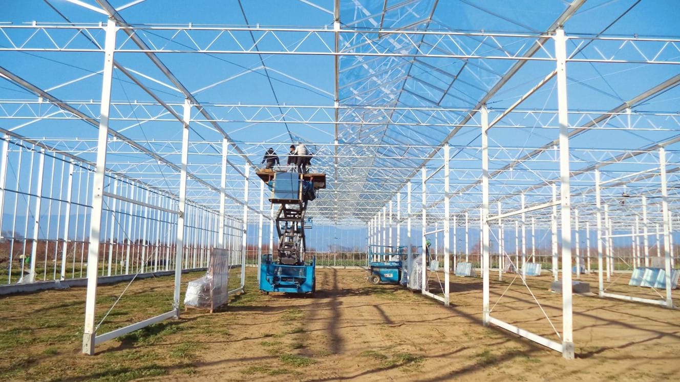 Greenhouse for growing tomatoes in Turkey