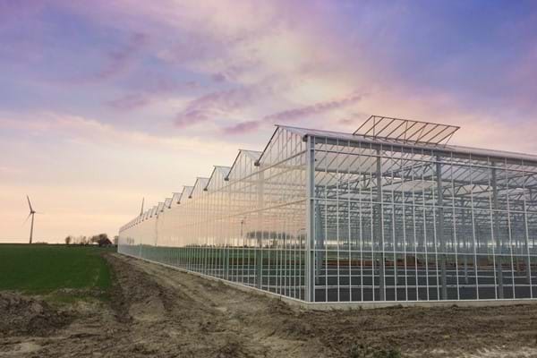 Greenhouse for growing young plants in Germany