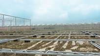 Greenhouse for growing young plants in Germany