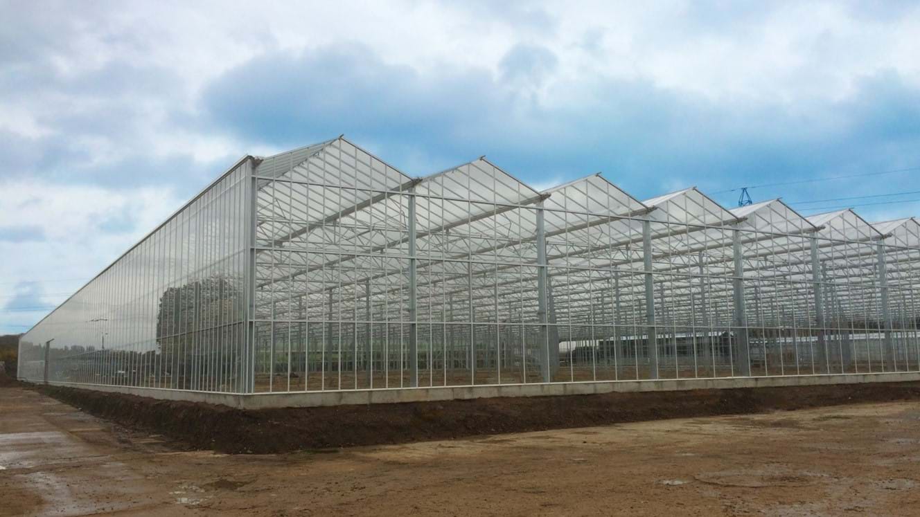 Greenhouse for growing Cucumbers in England / United Kingdom