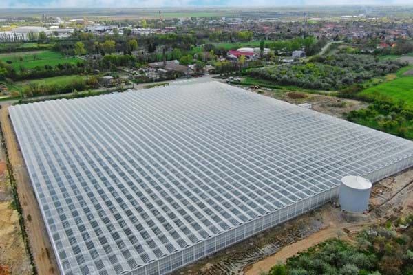 Greenhouse for growing tomatoes in Hungary