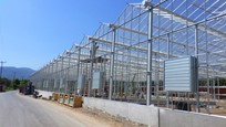 Greenhouse for growing orchids in Greece