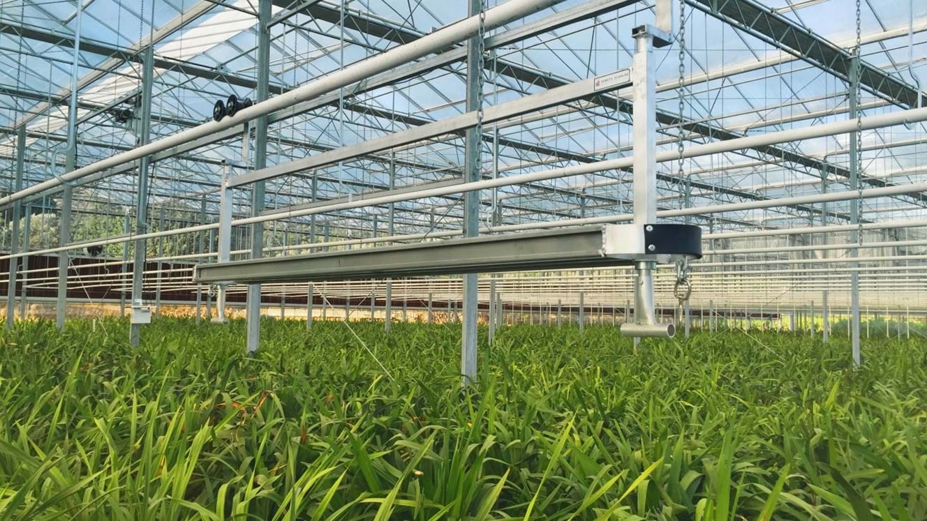 Greece 6 007 M Orchids Debets Schalke