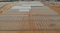 Greenhouse for growing tomatoes, cucumbers and peppers in Saudi Arabia