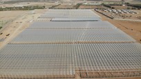 Greenhouse for growing tomatoes, cucumbers and peppers in Saudi Arabia