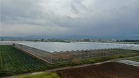 Greenhouse for growing young plants in Albania