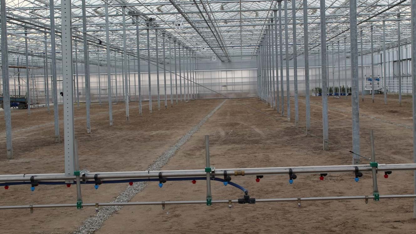 Greenhouse for growing young plants in Albania