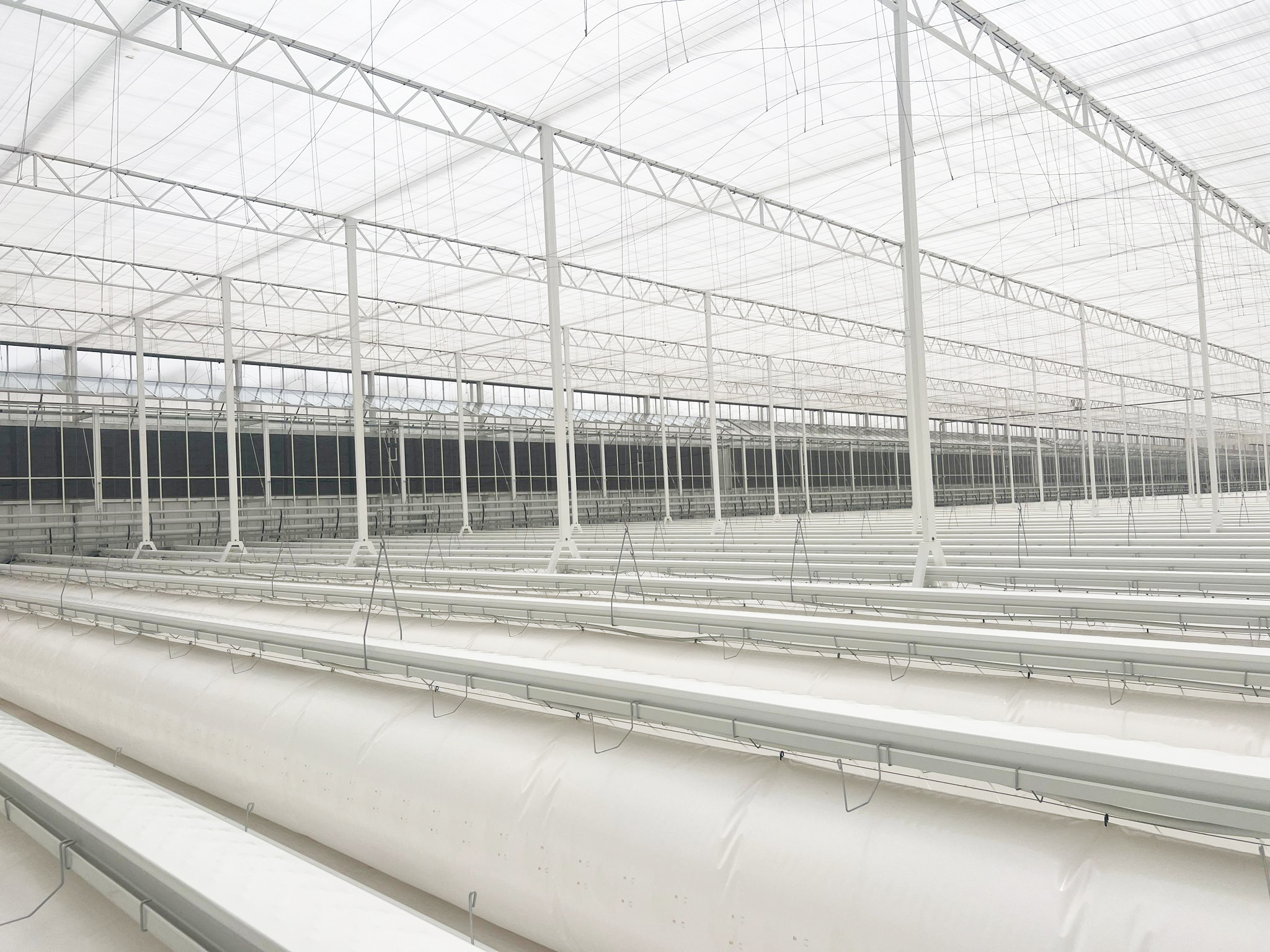 Semi-closed greenhouses - Debets Schalke