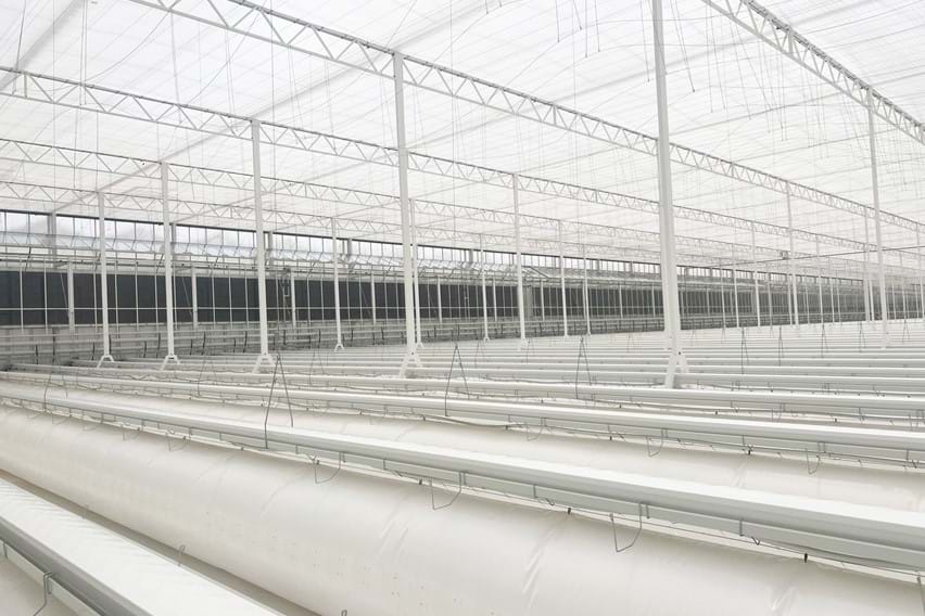 Semi-closed greenhouses - Debets Schalke