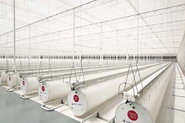 Semi-closed greenhouses - Debets Schalke