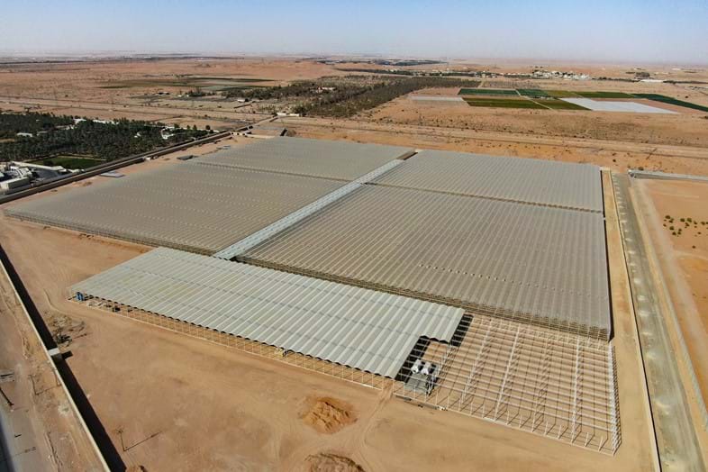 Semi-closed greenhouses - Debets Schalke